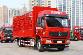 陕汽德龙L3000载货车