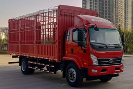 南骏瑞捷D50载货车