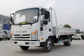 欧铃T1载货车