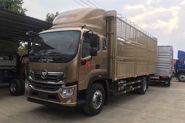 福田奥铃&nbsp;奥铃大黄蜂&nbsp;畜禽运输车