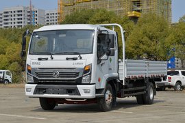 东风凯普特星云K7载货车