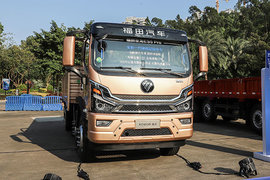 福田瑞沃圣龙ES5Pro载货车