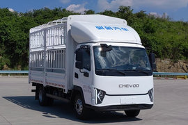 骐蔚牌长江9号电动载货车