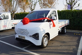 东风睿立达T70载货车